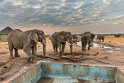 059 Zimbabwe, Hwange NP, olifanten